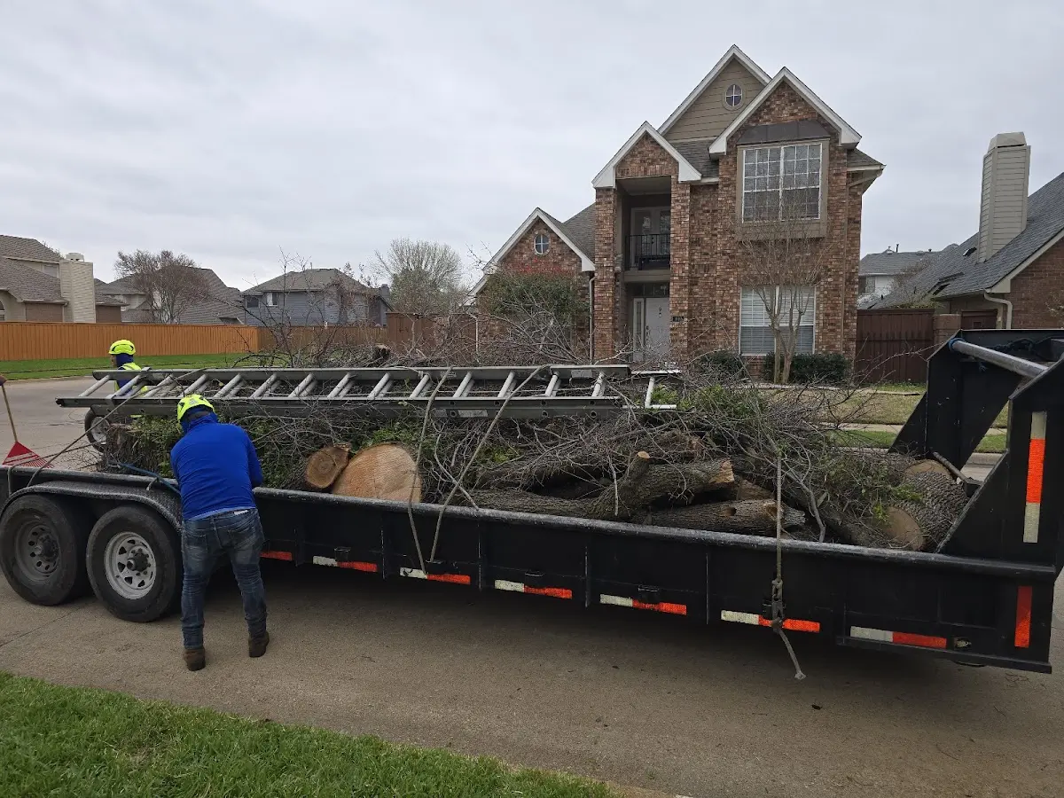 Expert Tree Fertilization with proper safety equipment in Elkton